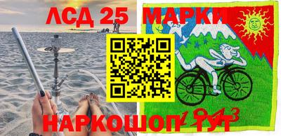 шишки Камышлов