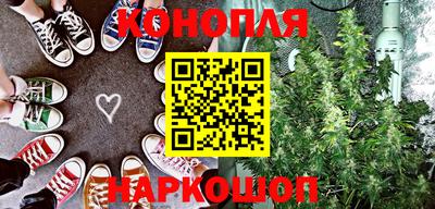 шишки Камышлов